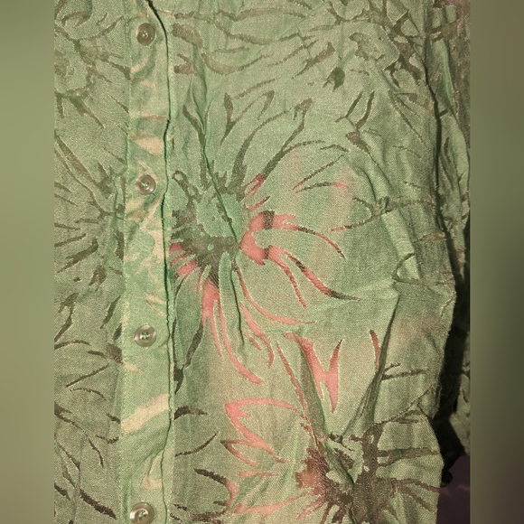 💎 M 'CW Classics' Green Sheer Button Down 💚 - Picture 2 of 3